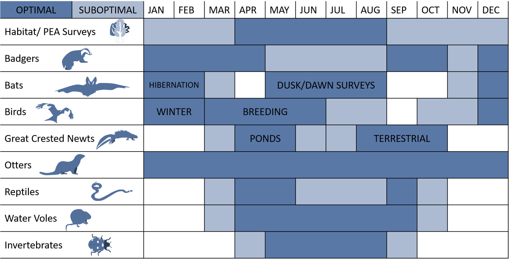 Calendar displaying optimal and suboptimal times of the year to carry out different habitat and wildlife surveys Bernwood Ecology offers.